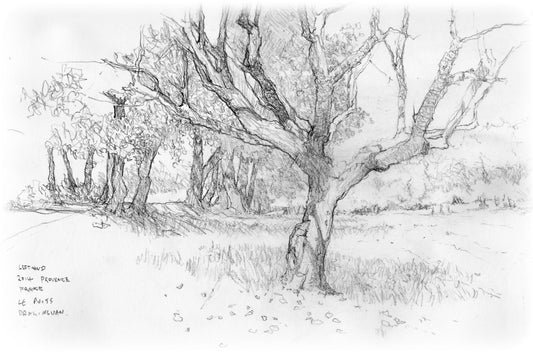 1 Day - Beginners Drawing Workshop Thurs 22nd Oct 2026
