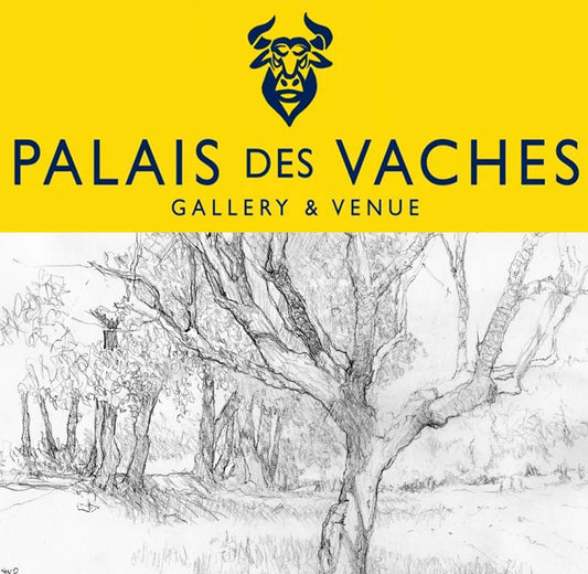 1 Day - Beginners Drawing Workshop Thurs 22nd Oct 2026