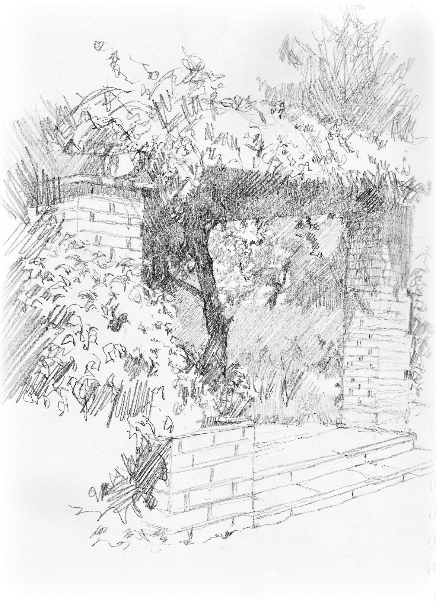 1 Day - Beginners Drawing Workshop Thurs 22nd Oct 2026