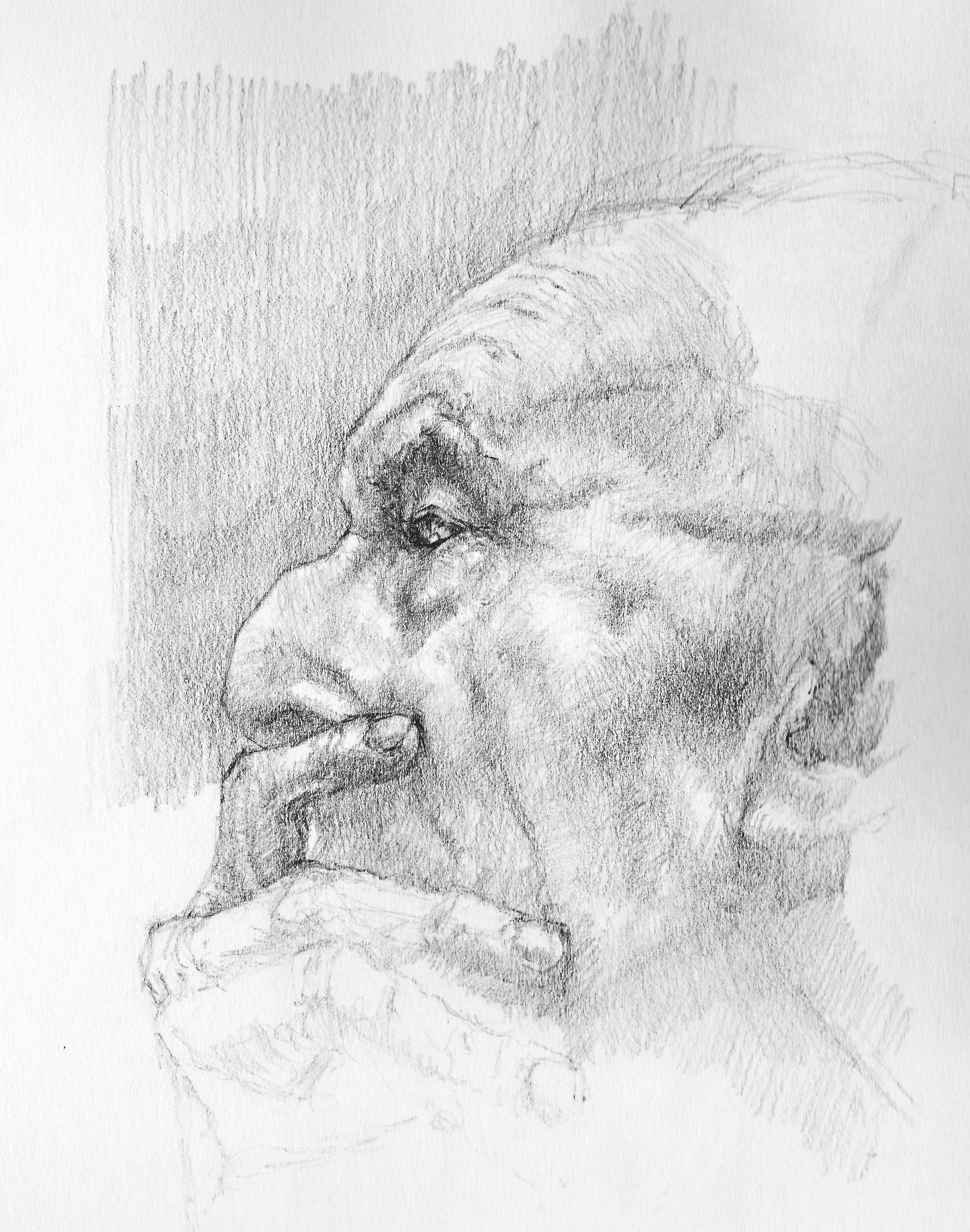1 Day - Beginners Drawing Workshop Thurs 22nd Oct 2026