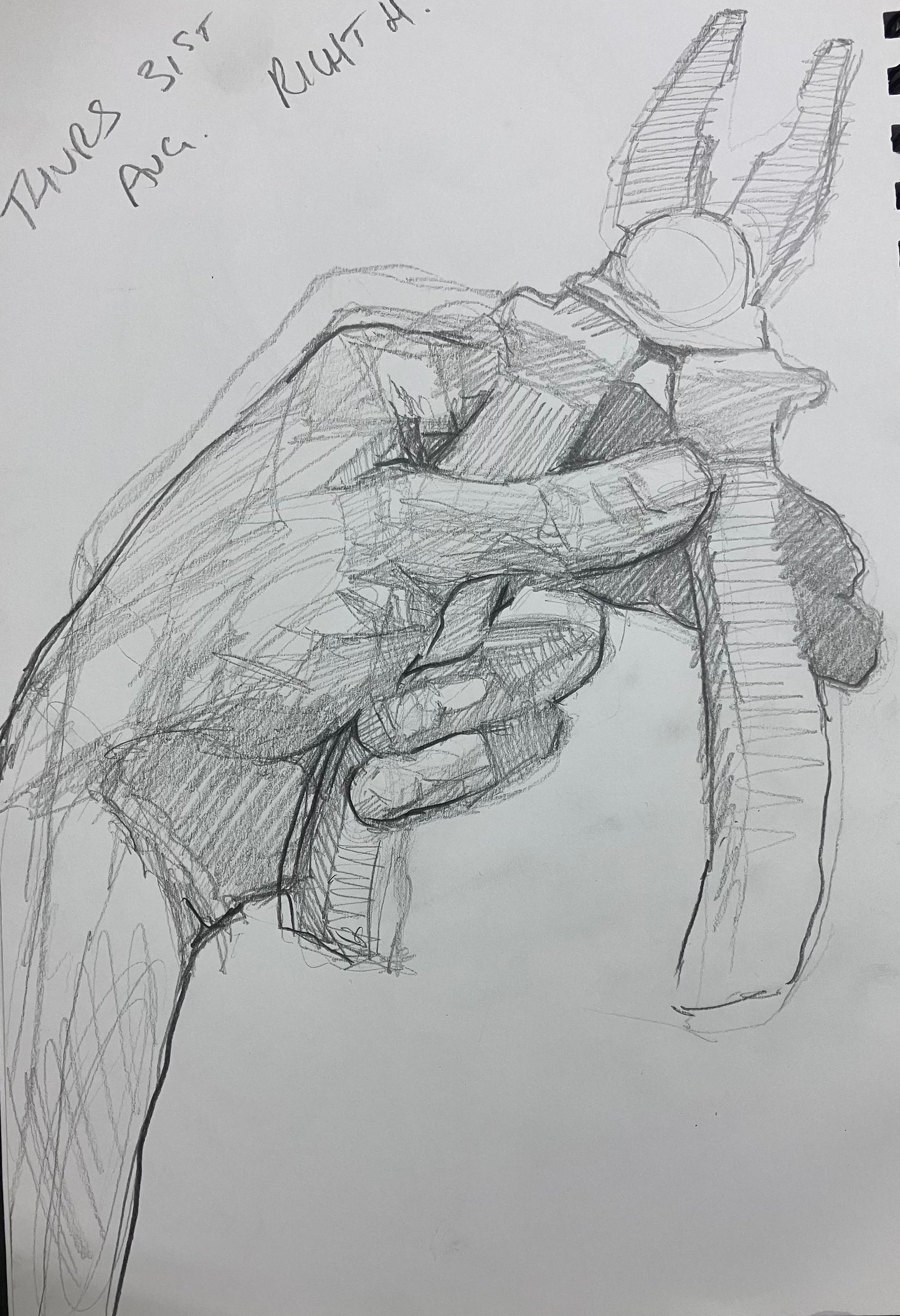 1 Day - Beginners Drawing Workshop Thurs 22nd Oct 2026